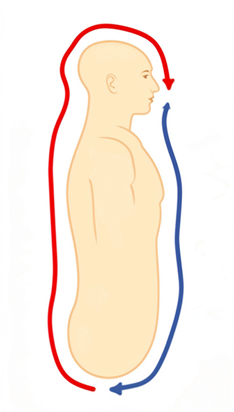 Microcosmic.Orbit.2D