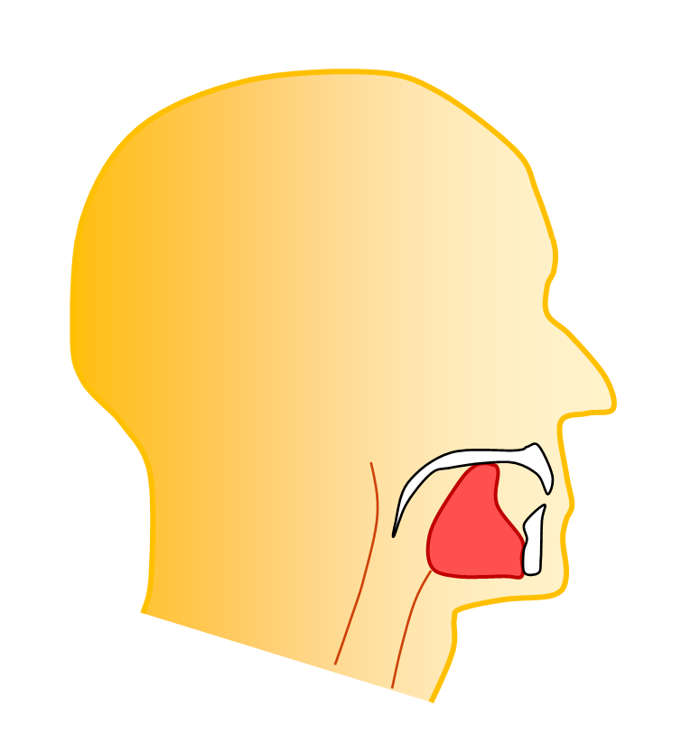 Microcosmic orbit tongue position